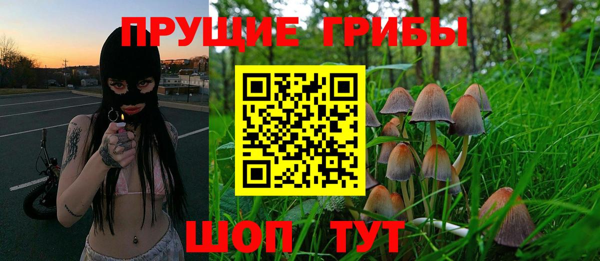Псилоцибиновые грибы Cubensis Реж